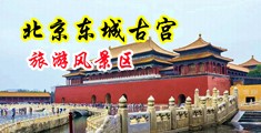 美女扒开尿囗让男人桶视频免费中国北京-东城古宫旅游风景区